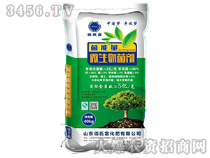 ΢�������-������-���ϸ�