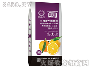 �r(n��ng)��΢�������-���ʌ���-���ϸ�