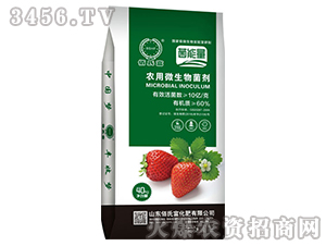 �r(n��ng)��΢�������-��ݮ����-���ϸ�