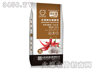 �r��΢�������-�������⌣��-���ϸ�