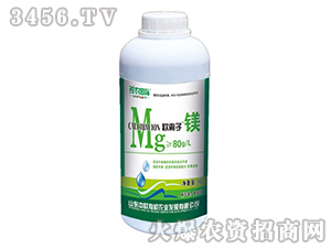 �W�x���V-�r�r(n��ng)���H