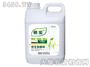 ΢�������-���t-�z���r(n��ng)�I(y��)