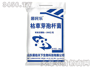 �ݲ�ѿ�ߗU��-����-���R����