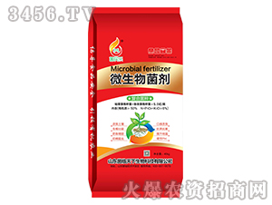 40kg΢�������-����-���R����