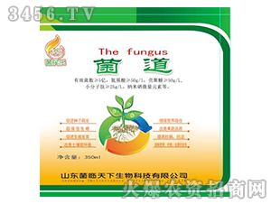 Һ�w΢�������-����-���R����