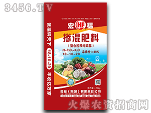 �ߝ�ȓ����18-10-20-�긣-�Y�����F