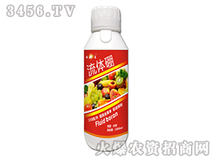 ���w��-���S����