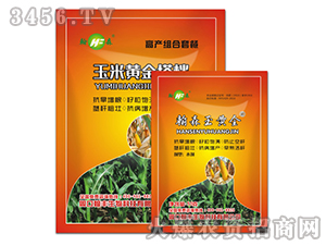 �����S���n-���S����