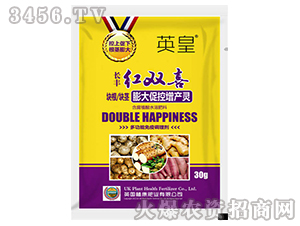 �K�����o���ٿ����a(ch��n)�`-�t�pϲ-�L�S