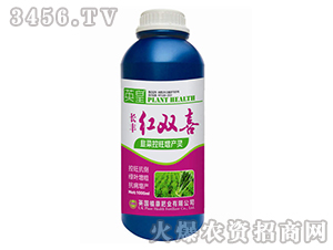 �²˿������a(ch��n)�`-�t�pϲ-�L�S