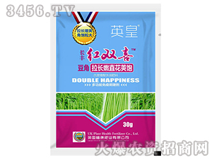 �������L��ֱ��Ӣ�-�t�pϲ-�L�S