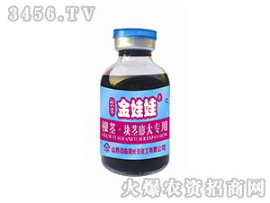 ���o���K�o�޴���-������-�L�S