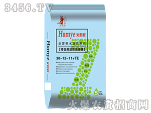 ���������Ԫ��ˮ�ܷ�30-12-11+TE-��Λρ-��Λρ