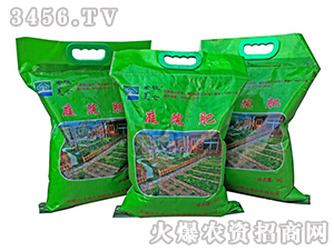 ͥԺ��-����-��������