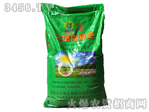 �����ЙC��-����-��������