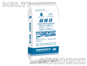 ������(y��u)-ɏԴ��