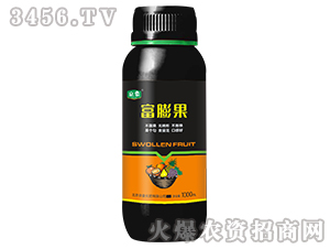 �����-����