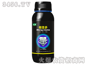 ��ʥ��-����