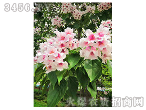 2020��鱘�ӆ�λ����Ŀ13