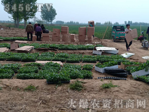 2020��鱘�ӆ�λ����Ŀ10