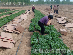 2020��鱘�ӆ�λ����Ŀ8