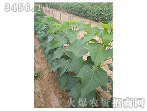 2020��鱘�ӆ�λ����Ŀ7