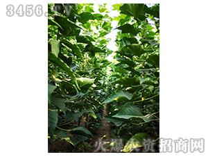 2020��鱘�ӆ�λ����Ŀ6