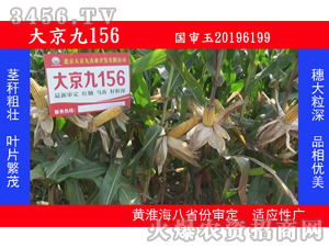 �󾩾�156-���׷N��-�󾩾�