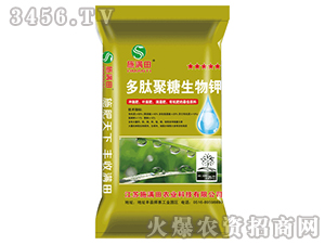 ���ľ��������-ʩ�M��