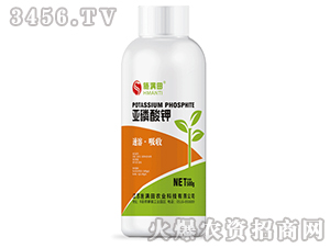 �������-ʩ�M��