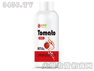 �t�����~���-ʩ�M��