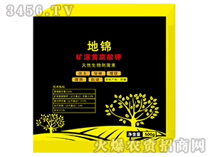 �VԴ�S�����-���\-ʢ�ļ�