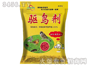 �(q��)�B��-ʩ���_(d��)-ʢ�ļ�