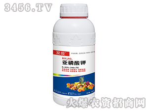 �������-�pЧ-ʢ�ļ�