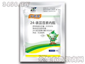 24-���|̦�؃�(n��i)֬-������-�R�����r(n��ng)