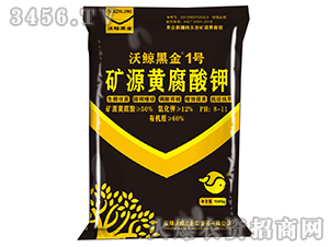 �VԴ�S�����-���L�ڽ�