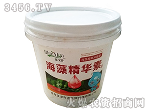 ���徫�A��-�{(l��n)����-���u�{(l��n)�� 