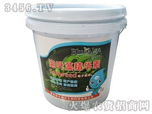 ���~�徫�A��-�{(l��n)����-���u�{(l��n)��