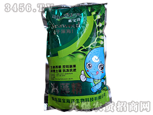 ���徫-�{(l��n)����-���u�{(l��n)��