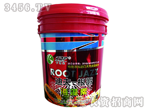 ������-�Ϸ�һ����-���Ϸ�