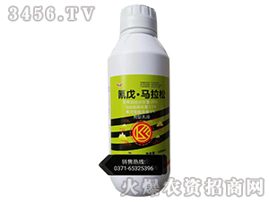 20%���졤�R����-�����r(n��ng)�I(y��)