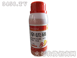 40%������-�����r(n��ng)�I(y��)