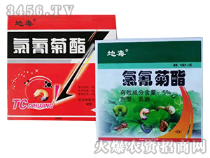 5%�������-�ض�-�����r(n��ng)�I(y��)