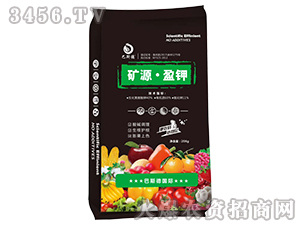 �VԴ��ӯ�-��˹��