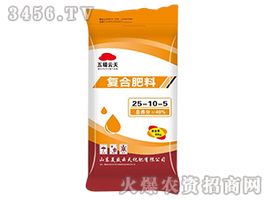 ��(f��)�Ϸ���25-10-5-�帣����-��ʢ����