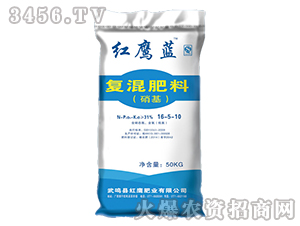 ������(f��)�����16-5-10-�t���{(l��n)-�t���ʘI(y��)