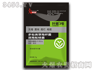 ��ճ�ѿ�ߗU��������݆֦��-�~��3̖-�s��