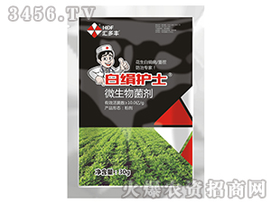 ΢�������-�׽��oʿ-�R���S