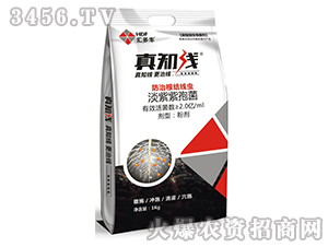 �������߾�-��֪��-�R���S