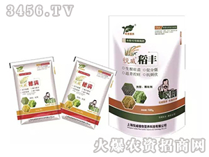 ���S+��M-����